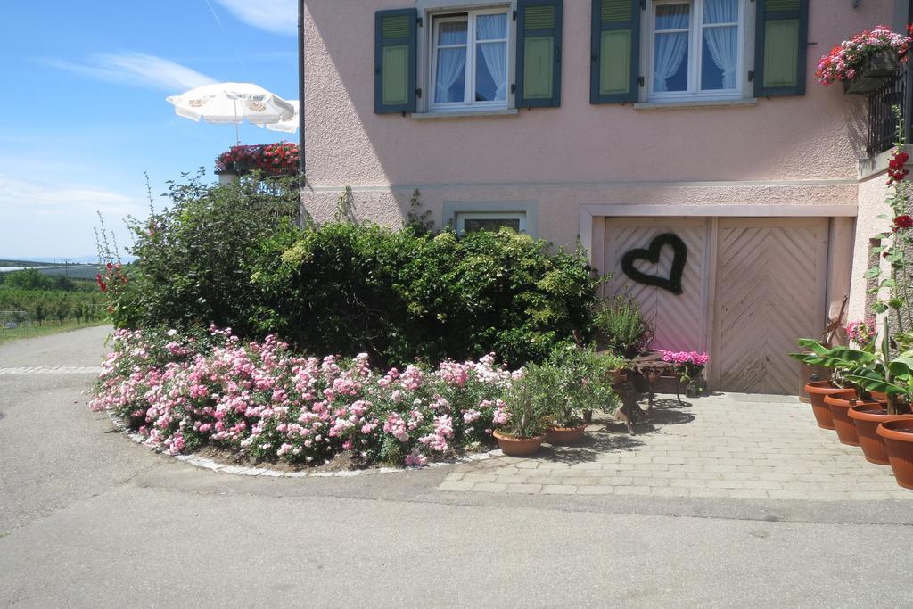 Gaestehaus Frohe Aussicht Kressbronn am Bodensee Εξωτερικό φωτογραφία